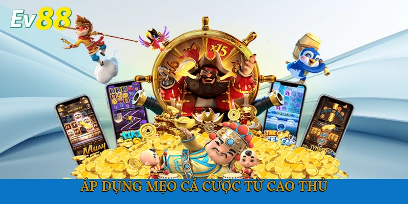 Áp dụng mẹo cá cược từ cao thủ