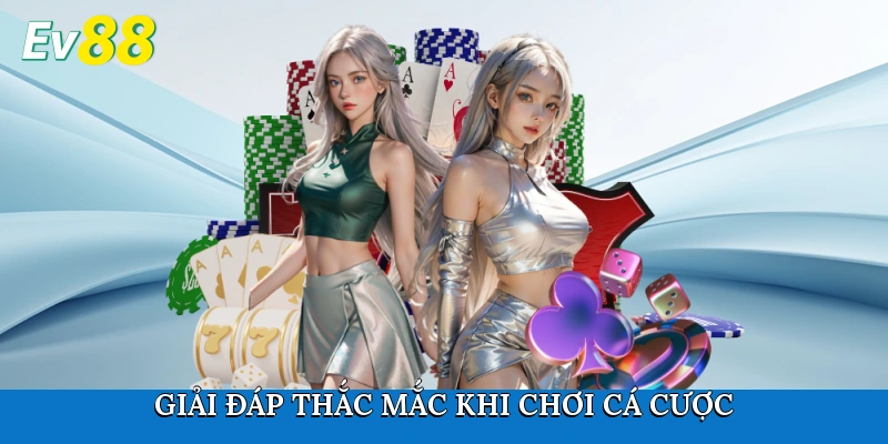 Giải đáp thắc mắc khi chơi cá cược