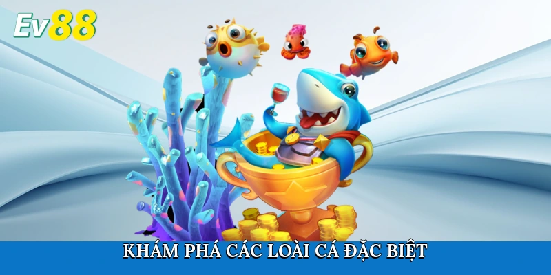 Khám phá các loài cá đặc biệt
