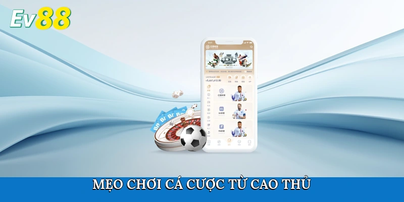Mẹo chơi cá cược từ cao thủ