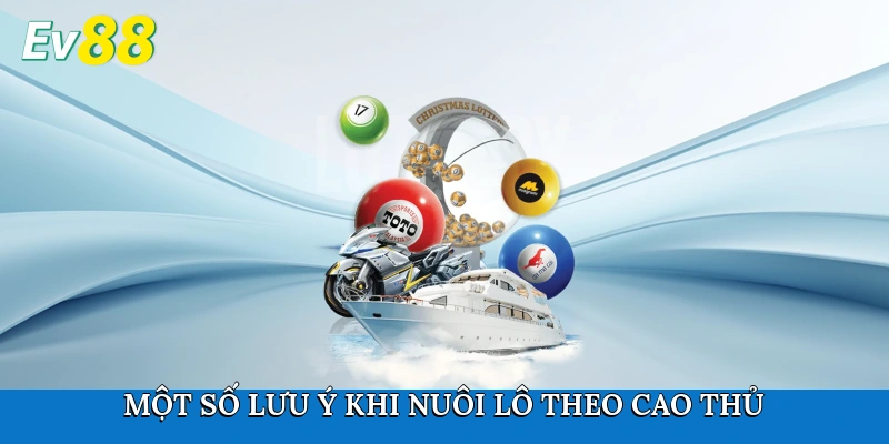 Một số lưu ý khi nuôi lô theo cao thủ