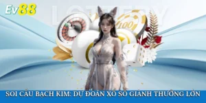Soi cầu Bạch Kim