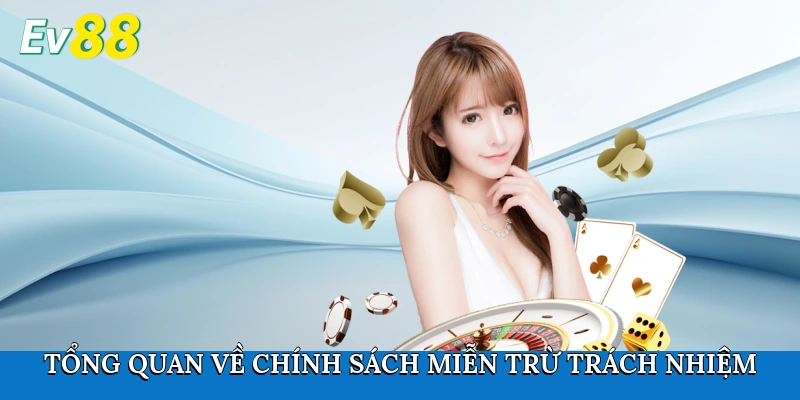Tổng quan về chính sách miễn trừ trách nhiệm